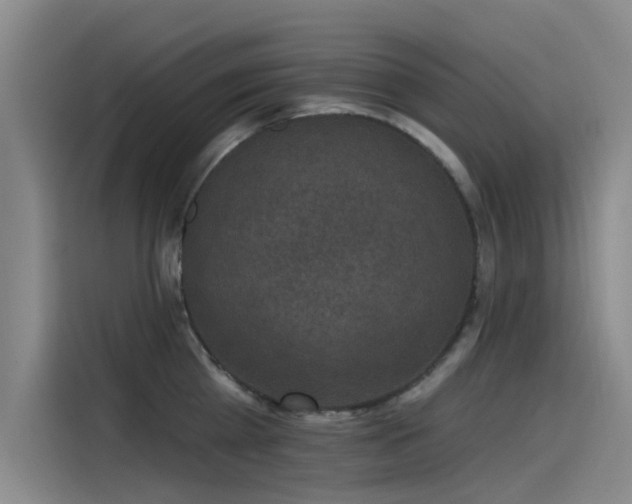 X0000115230809200911061126