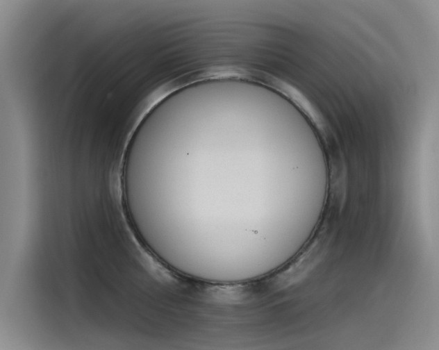 X0000115230810200911061126