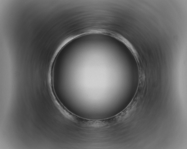 X0000115230811200911061126