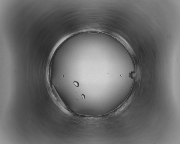 X0000115230812200911061126