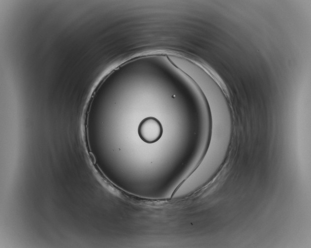 X0000115230813200911061126