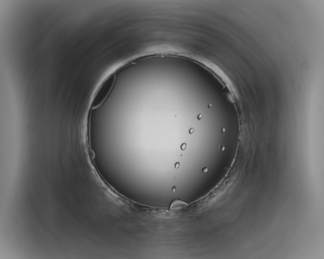 X0000115230815200911061126