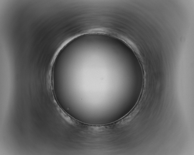 X0000115230816200911061126