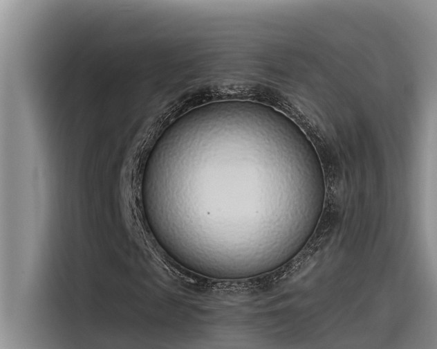 X0000115230817200911061125