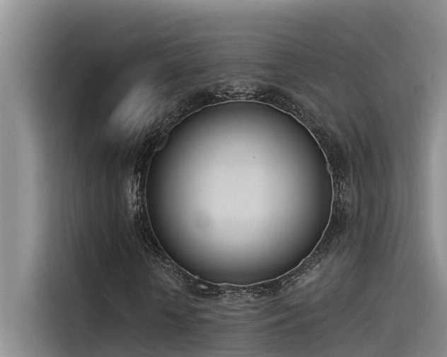 X0000115230818200911061125