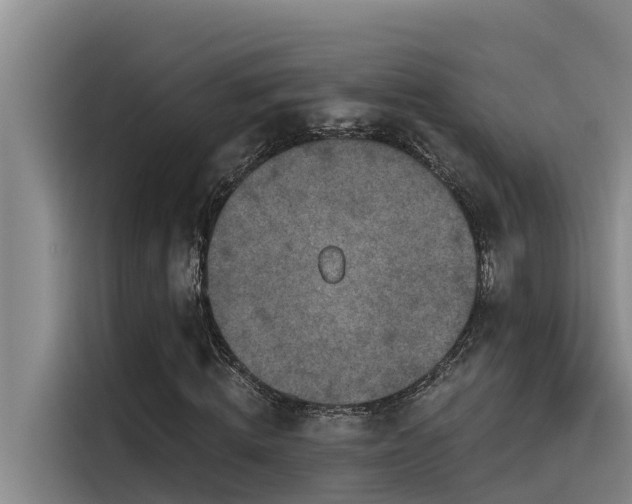 X0000115230820200911061125