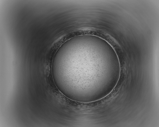 X0000115230821200911061125