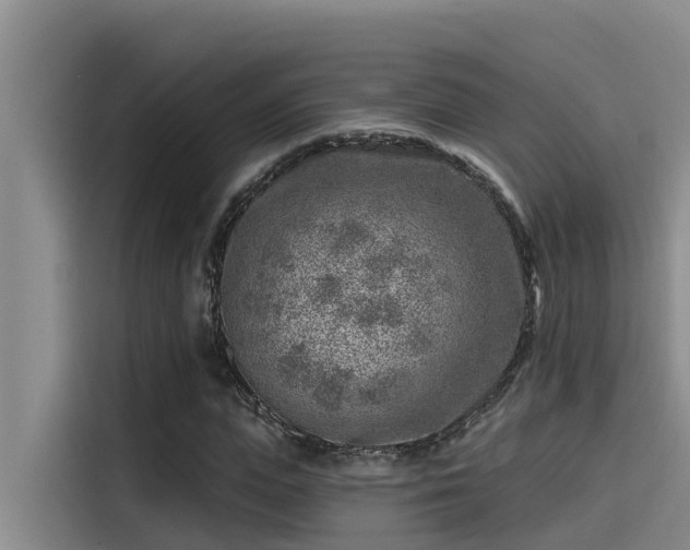 X0000115230823200911061125