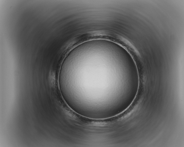 X0000115230825200911061125