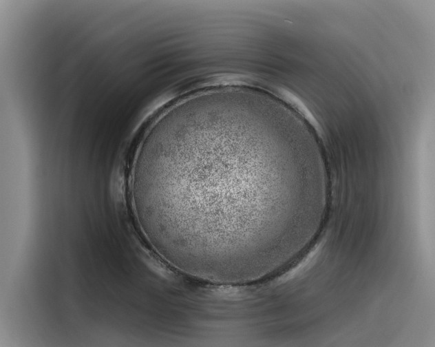 X0000115230827200911061125