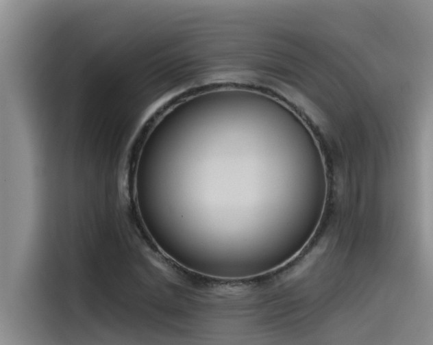 X0000115230830200911061125