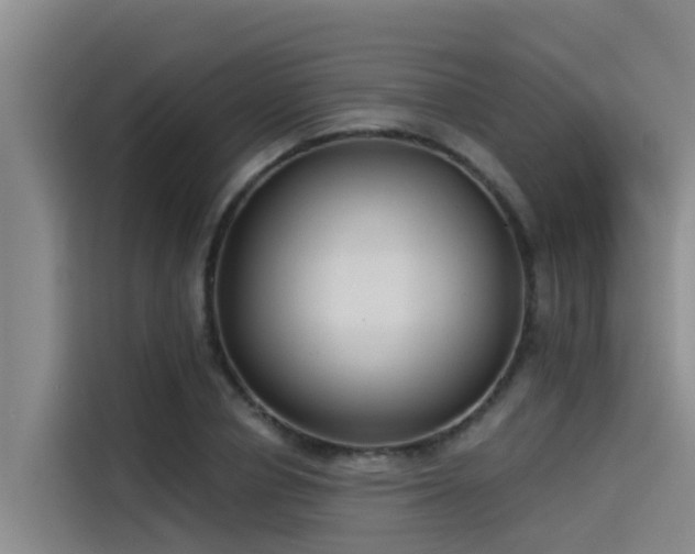 X0000115230834200911061125