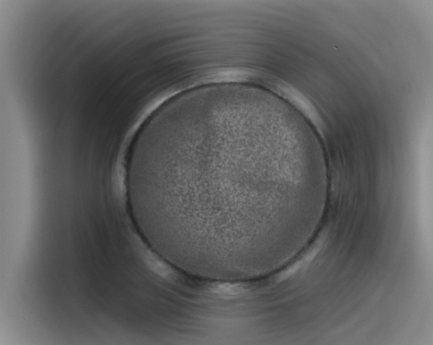 X0000115230835200911061125