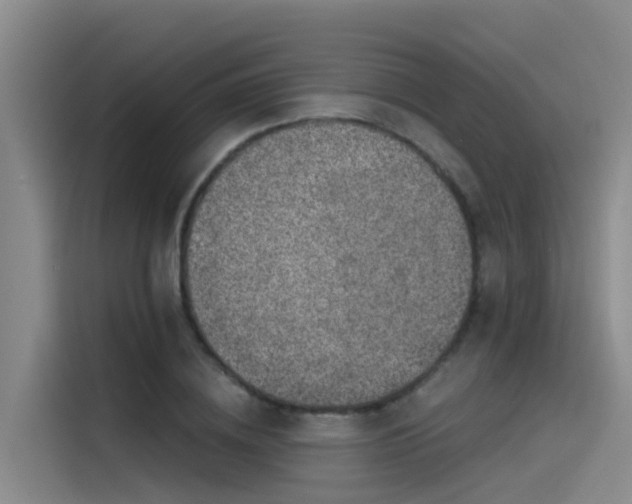 X0000115230836200911061126