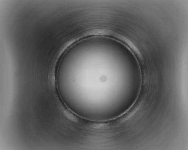 X0000115230837200911061126