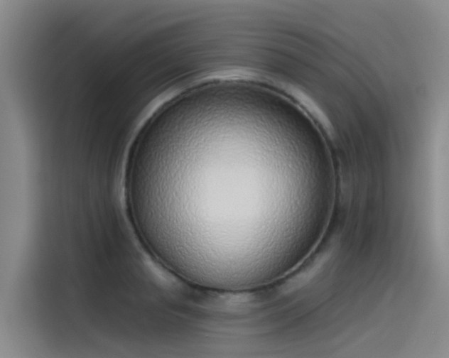 X0000115230845200911061126
