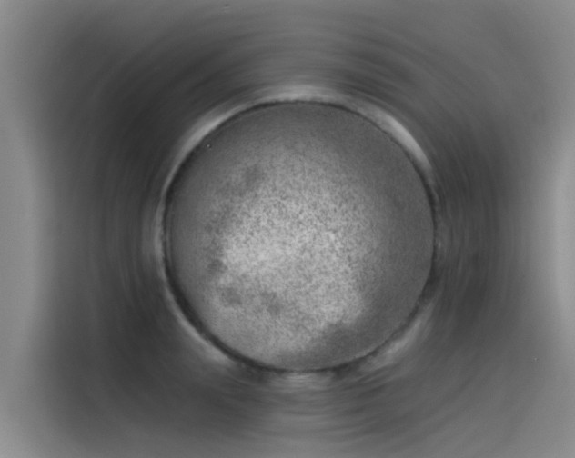 X0000115230847200911061126