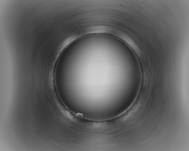 X0000115230850200911061126