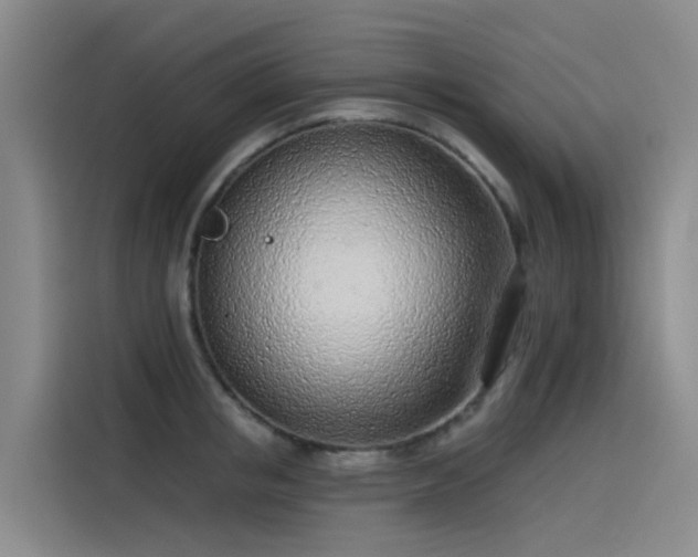 X0000115230853200911061126