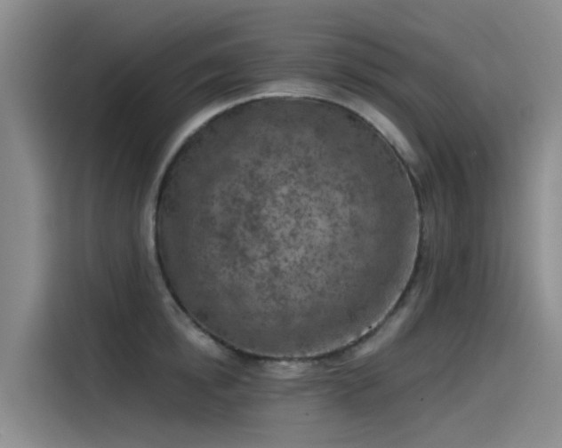 X0000115230854200911061126
