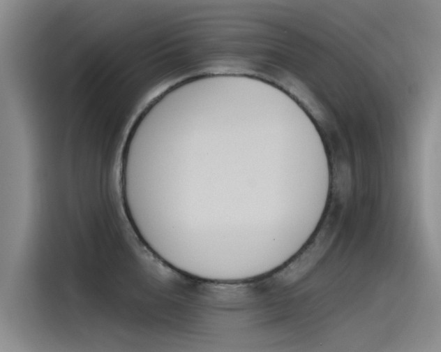 X0000115230856200911061126