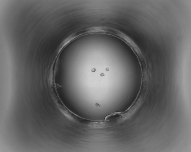 X0000115230858200911061126