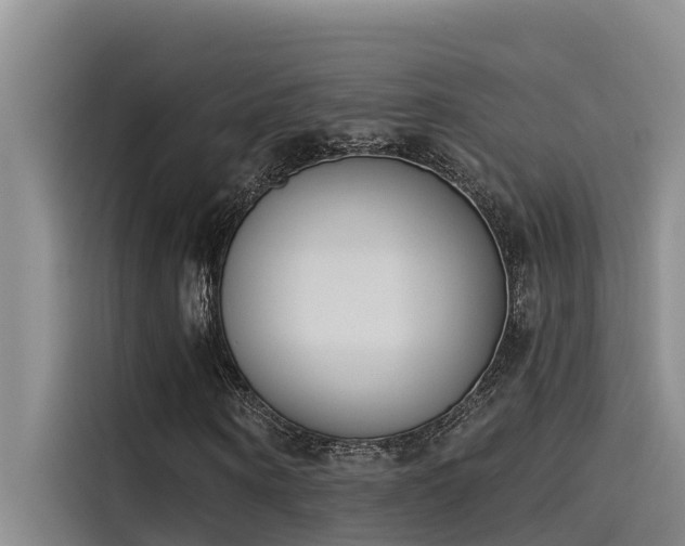 X0000115230866200911061125