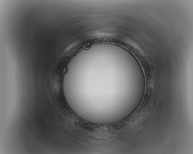 X0000115230869200911061125