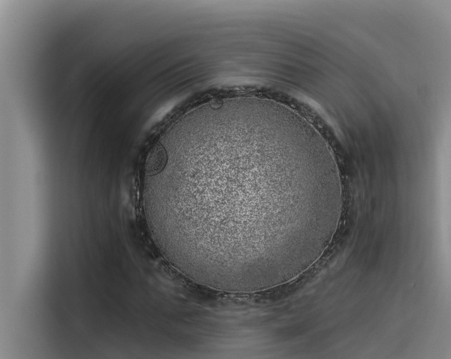 X0000115230871200911061125