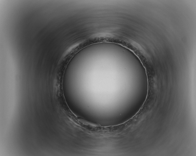 X0000115230872200911061125