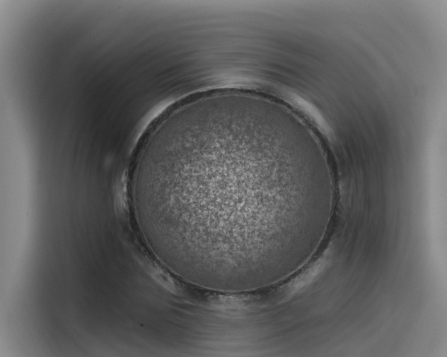 X0000115230875200911061125