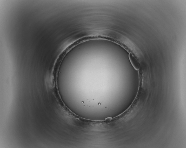 X0000115230876200911061125