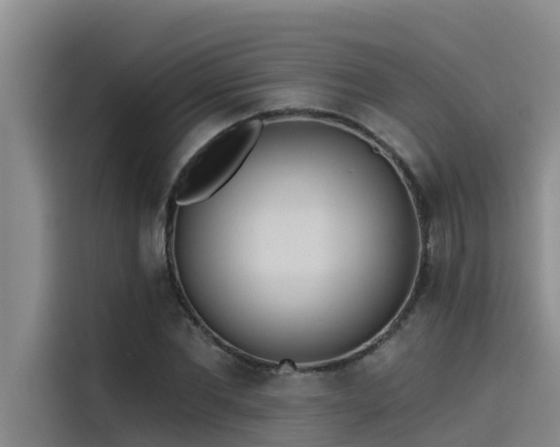 X0000115230877200911061125