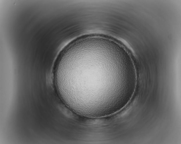 X0000115230879200911061125