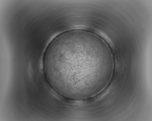 X0000115230883200911061125
