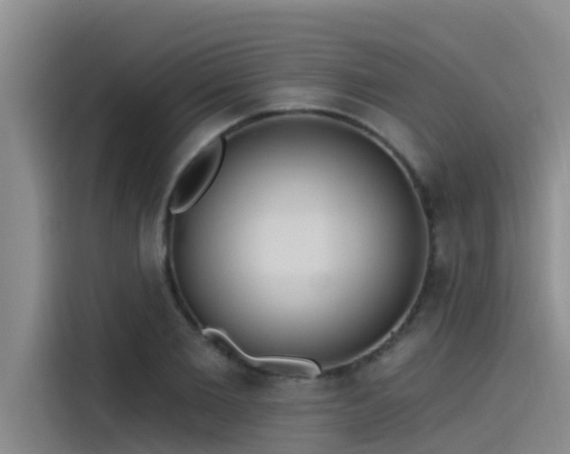 X0000115230885200911061125