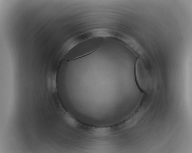 X0000115230889200911061125