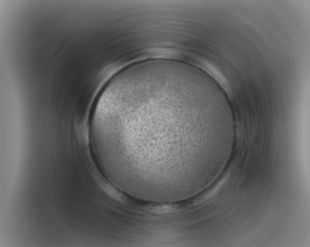 X0000115230891200911061125