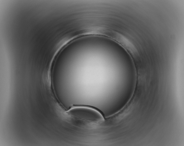 X0000115230892200911061125