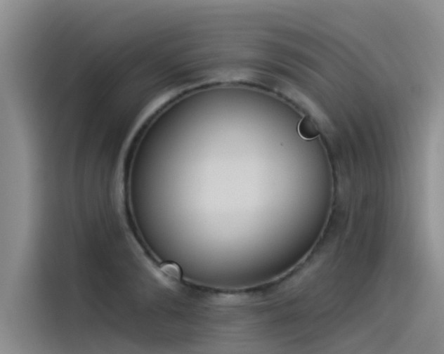 X0000115230894200911061125