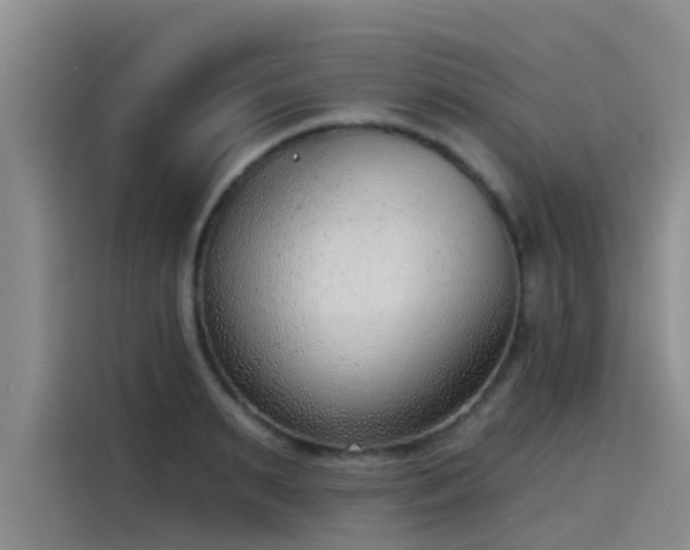 X0000115230895200911061125
