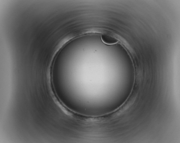 X0000115230898200911061125