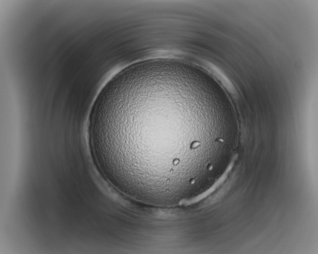 X0000115230899200911061125