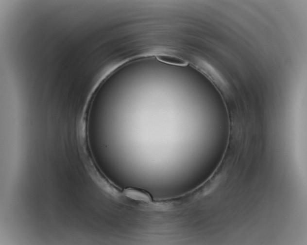 X0000115230900200911061125