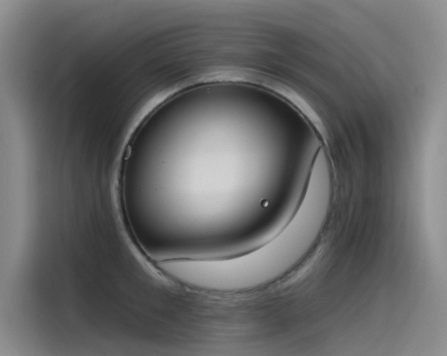 X0000115230901200911061125