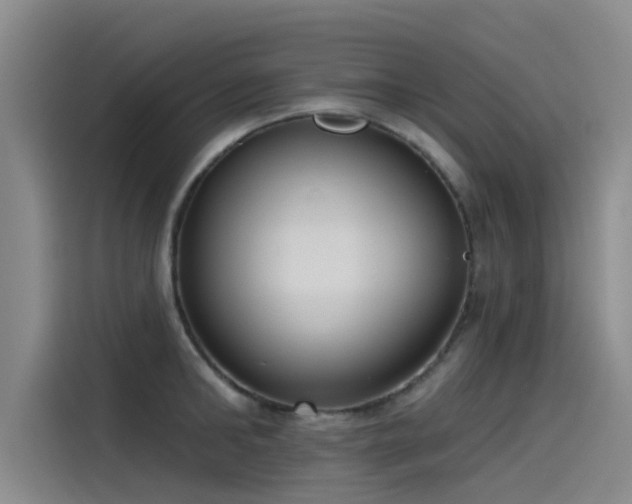 X0000115230902200911061125