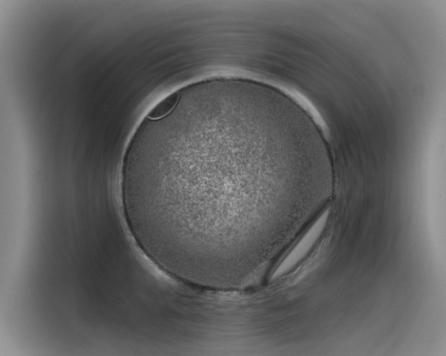 X0000115230903200911061125