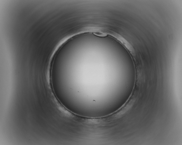 X0000115230904200911061125