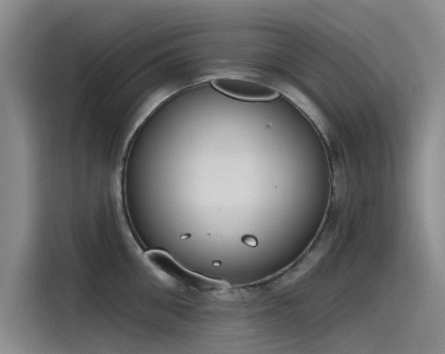 X0000115230906200911061125