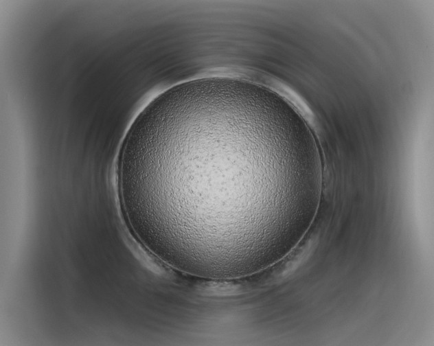 X0000115230907200911061125